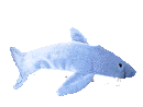 gif of a toy shark swimming in circles against a transparent background
